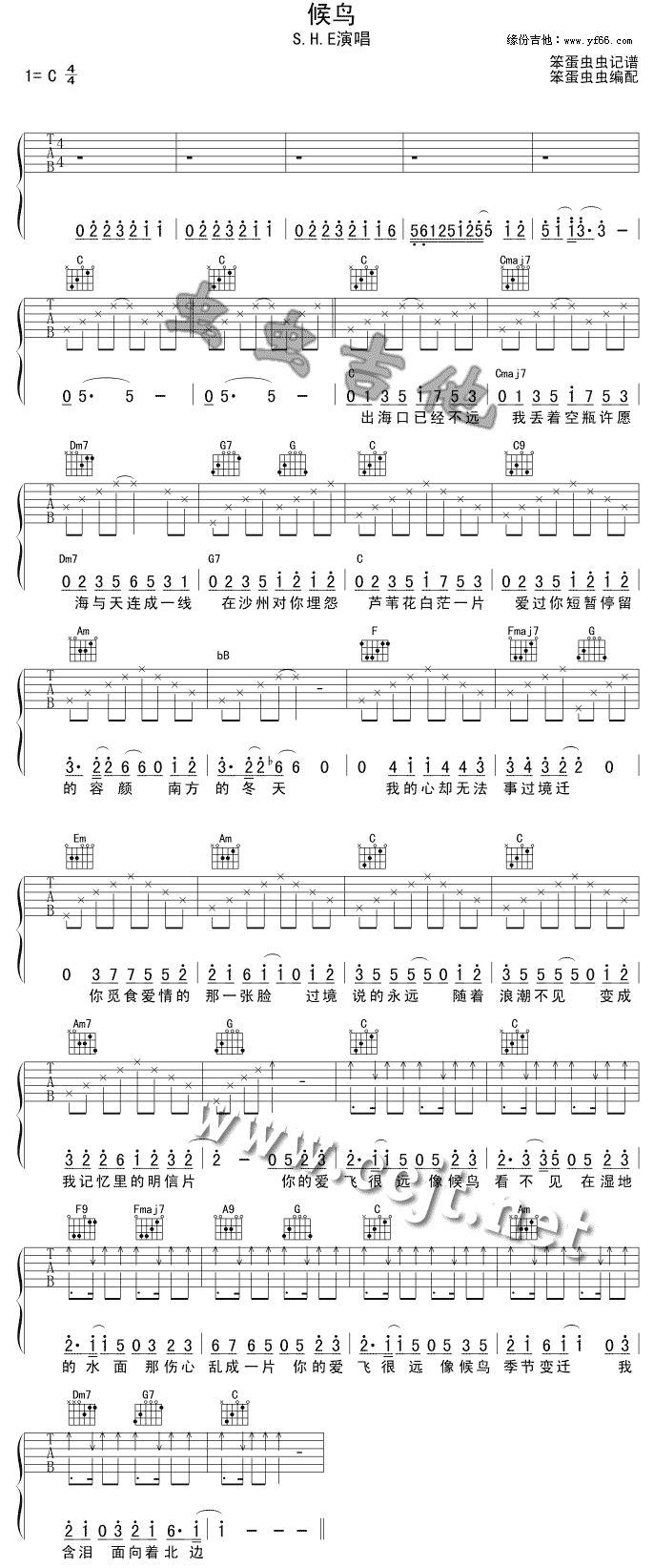 候鸟歌曲谱子_候鸟