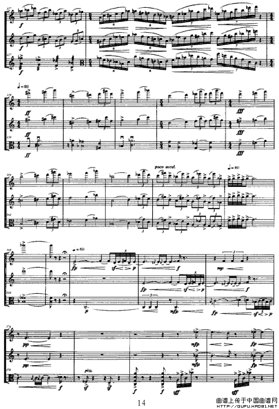 P14(ָ)1