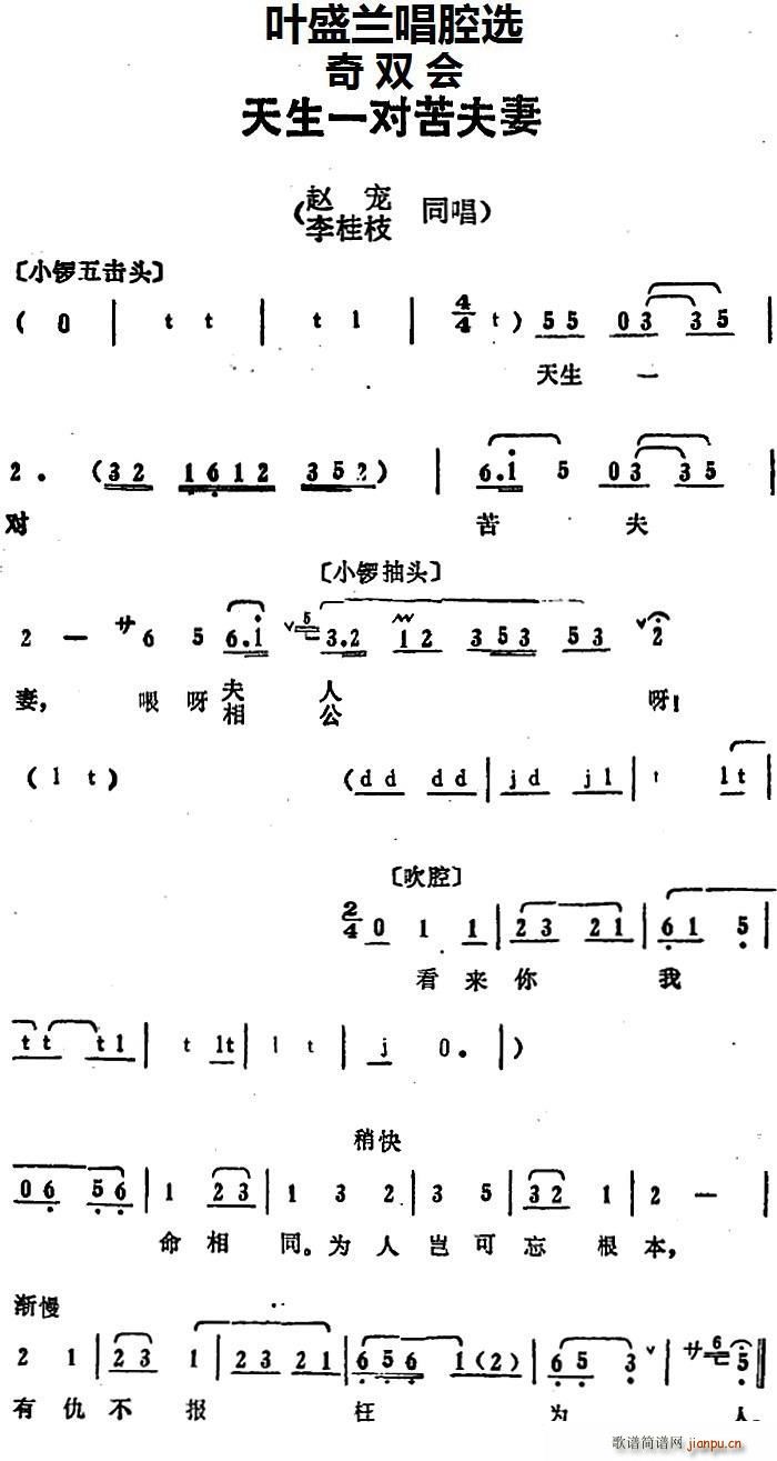 Ҷʢǻѡ һԿ ˫ Գ ֦(ʮּ)1