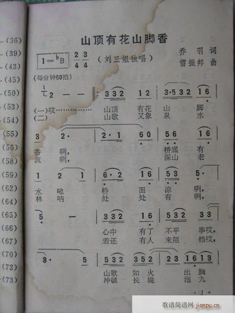 ɽлɽ1(ָ)1