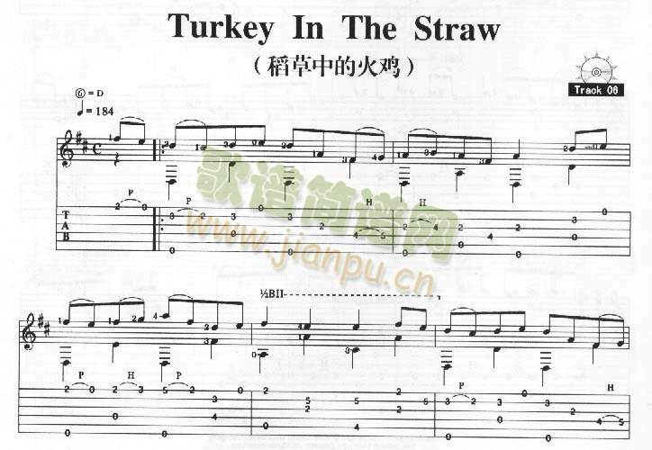 TurkeyInTheStrawеĻ()1