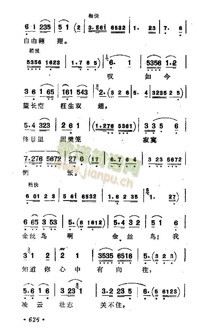 金丝鸟