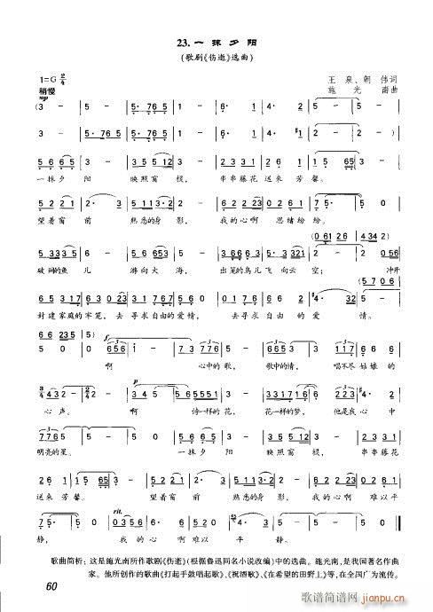 41-60(ָ)20