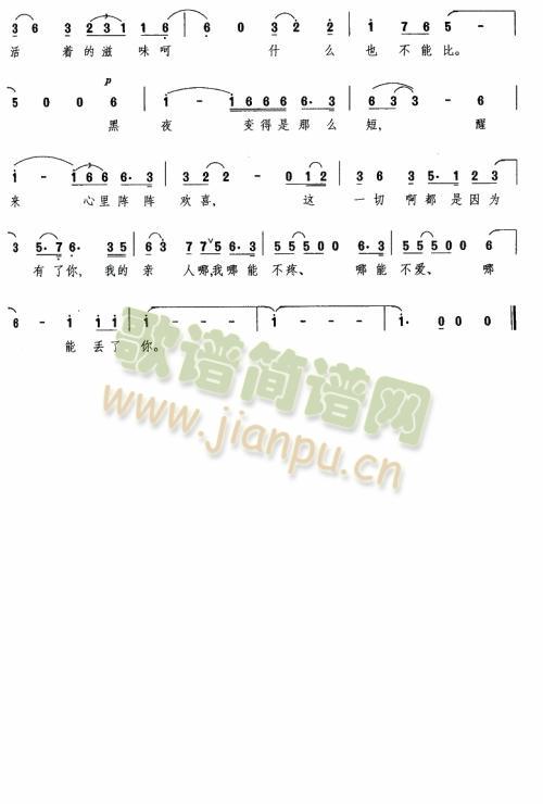 啊!我的虎子哥 歌谱简谱网