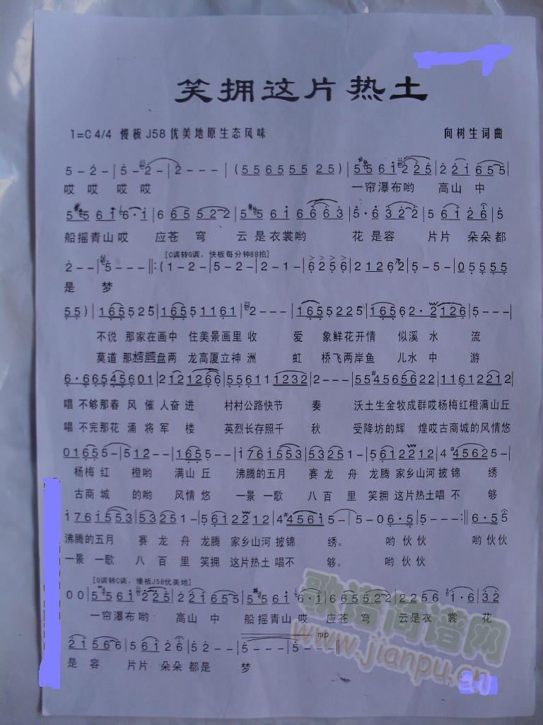 ЦӵƬ(ָ)1