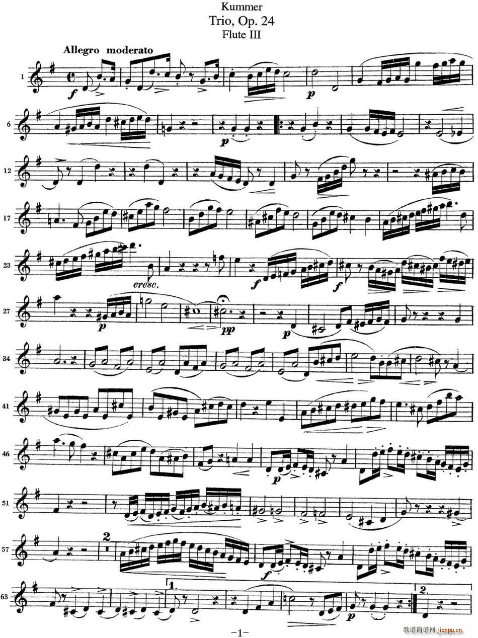 ĬOp 24 Flute 3()1