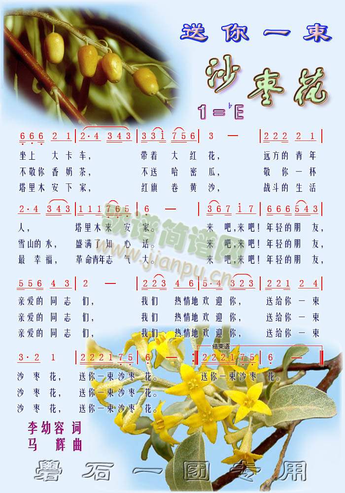 送你一束沙枣花(彩)