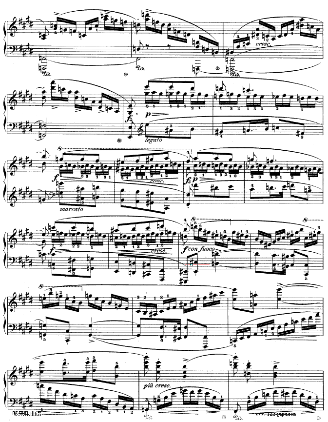 ٵһЭop.11-3-Ф()13