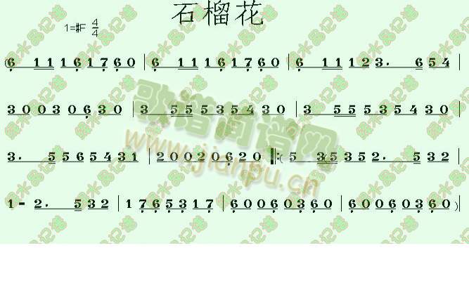 石榴花 歌谱简谱网