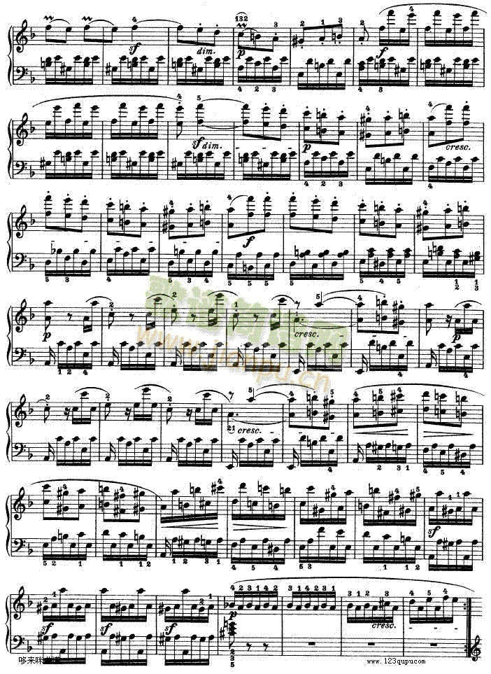 -dСʮ߸-Op.312-()13