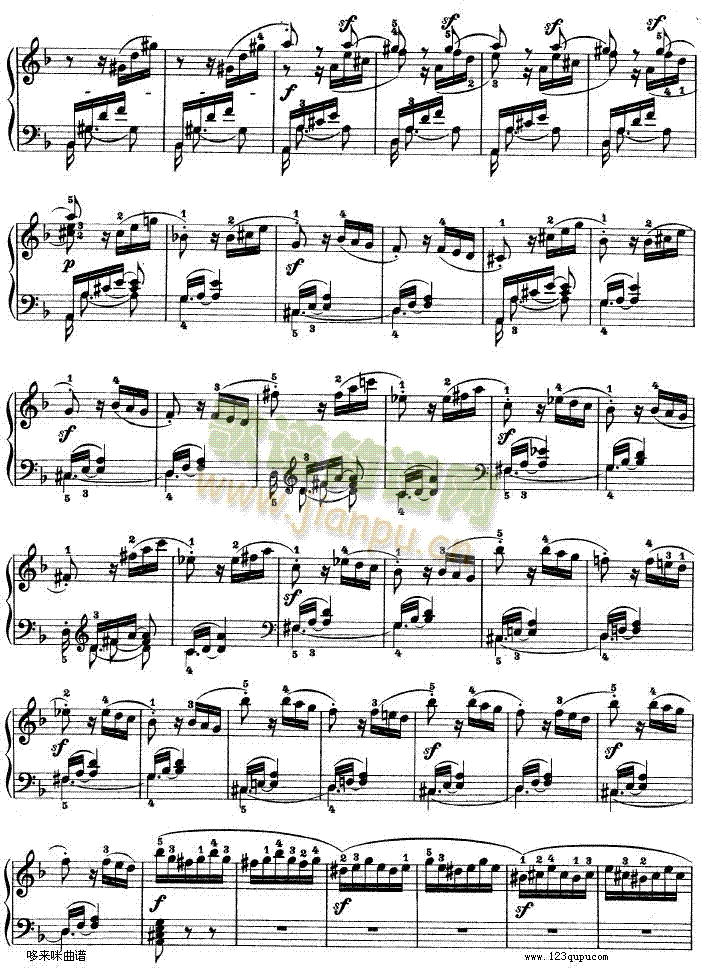 -dСʮ߸-Op.312-()16
