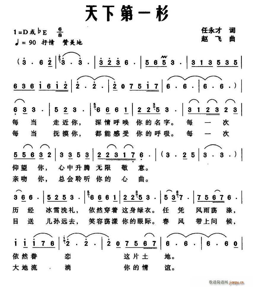 天下第一杉