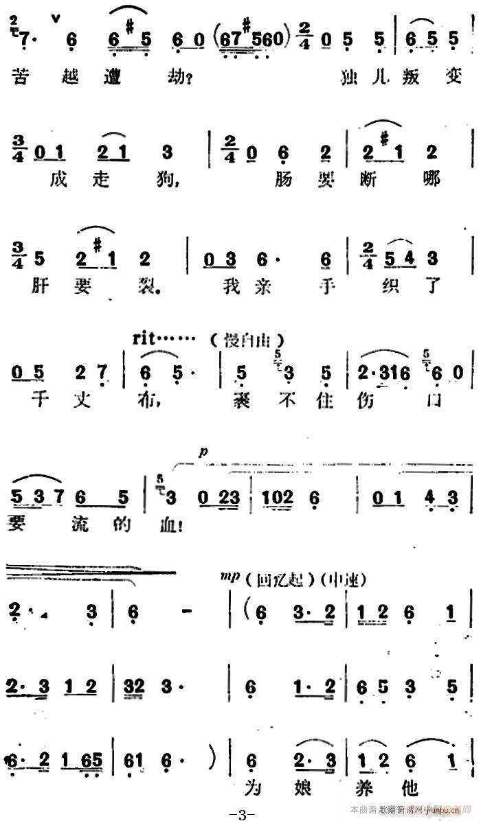   ѡ ΪʲôԽԽ(ʮּ)3