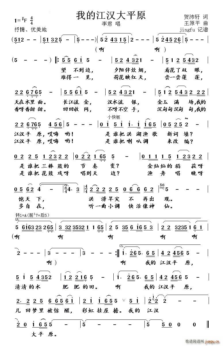 我的江汉大平原()