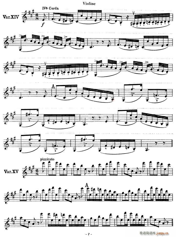LE CARNAVAL DE VENISE(ʮּ)7