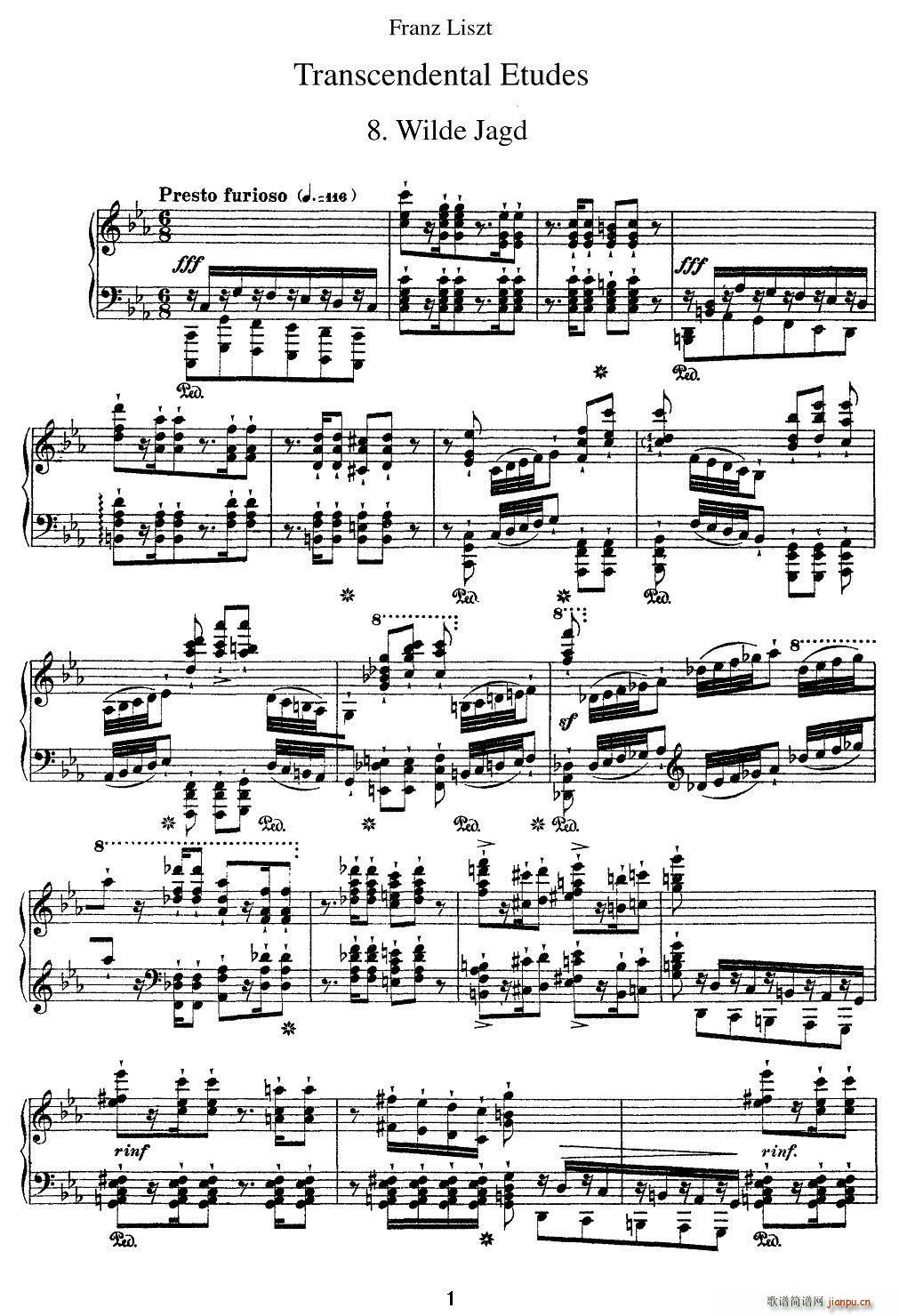 12׳ϰ Wilde Jagd ()1