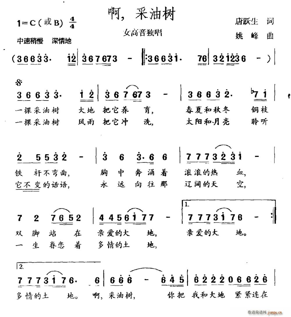 (ָ)1