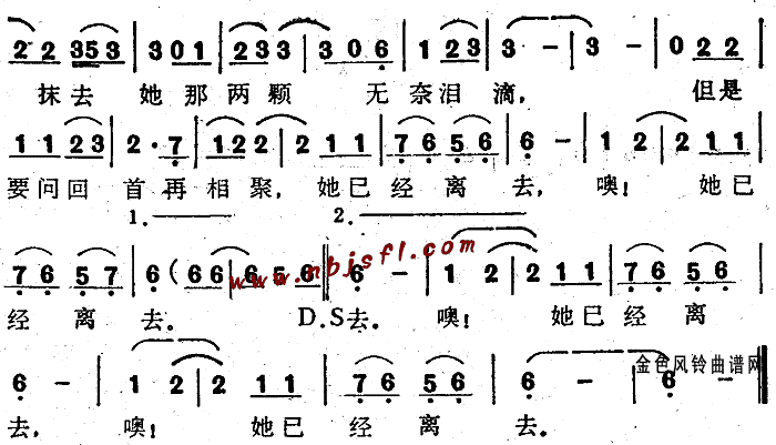 无奈的泪滴 歌谱简谱网