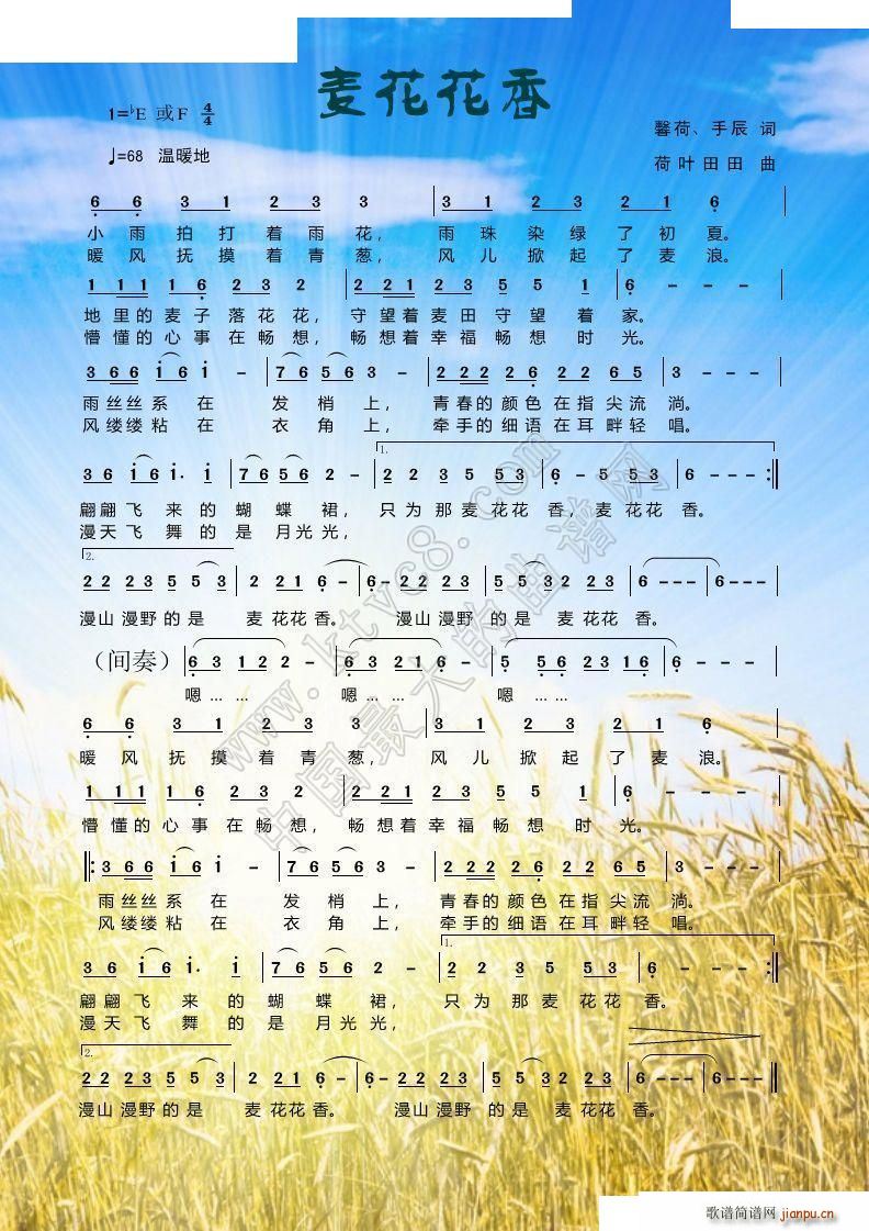 󻨻(ָ)1