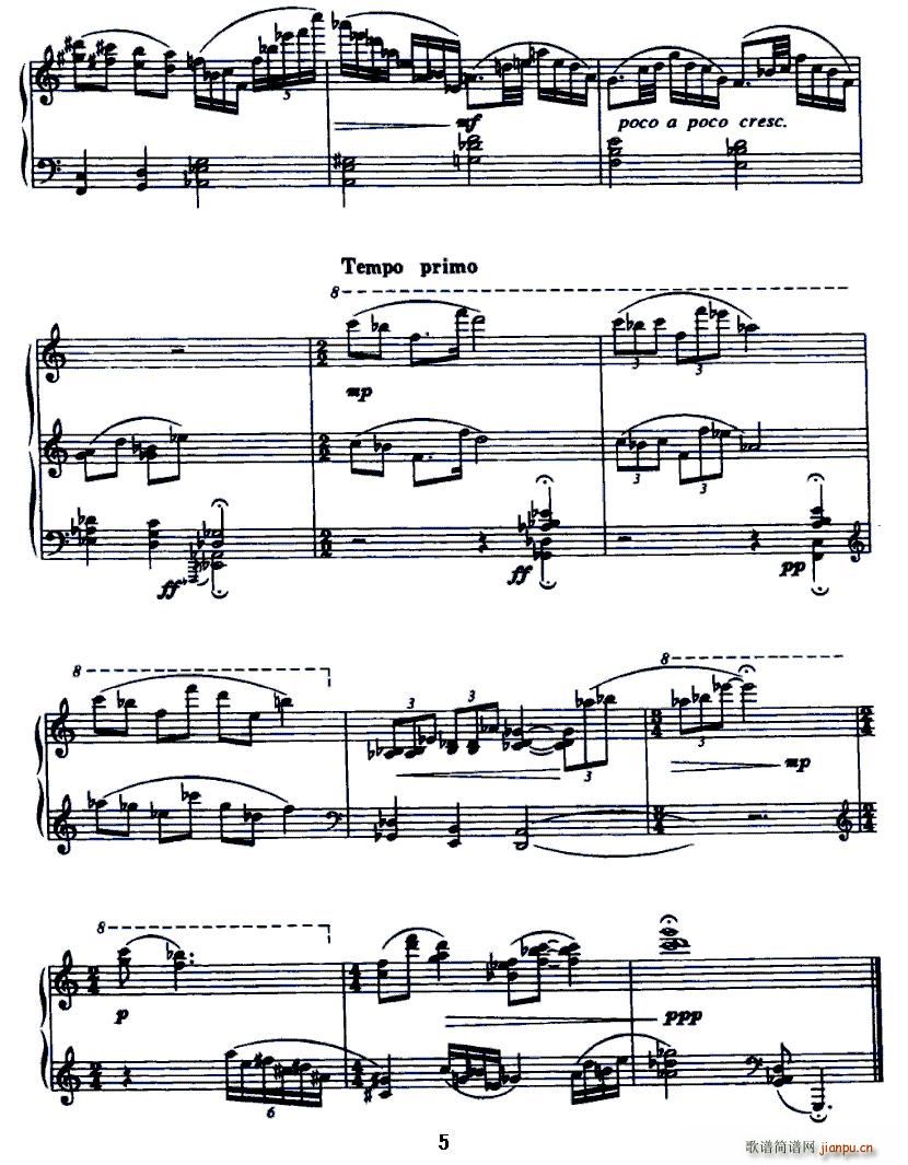 ֡()5