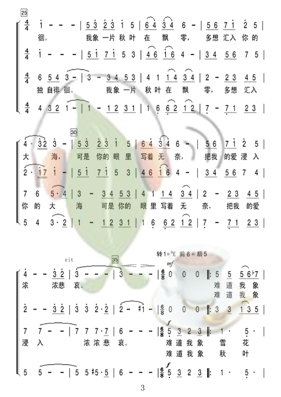 ѩ(ָ)3