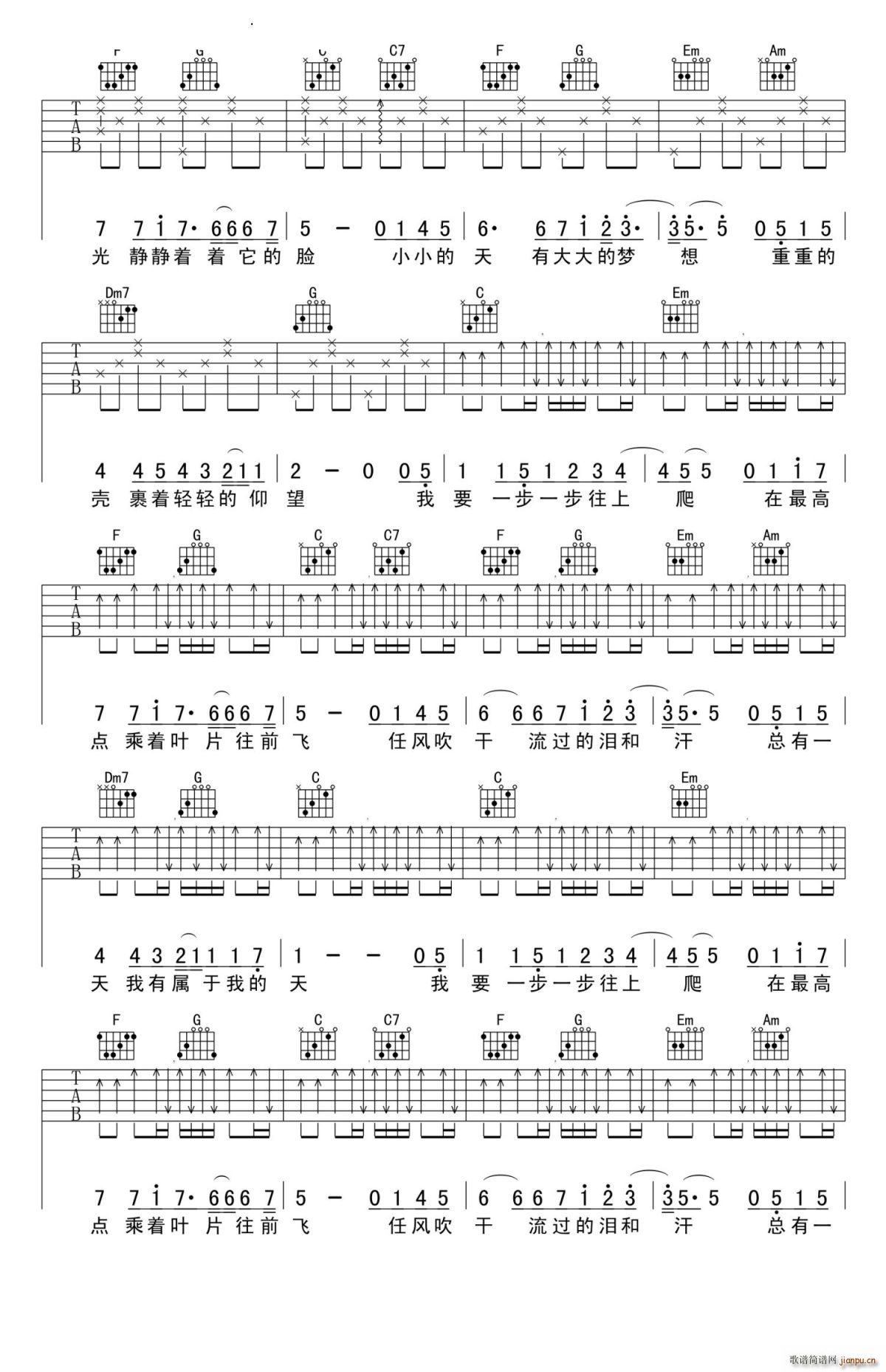ţ C()3