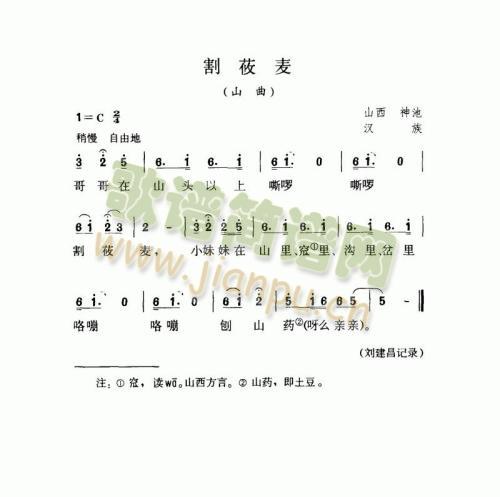 ݯ(ָ)1