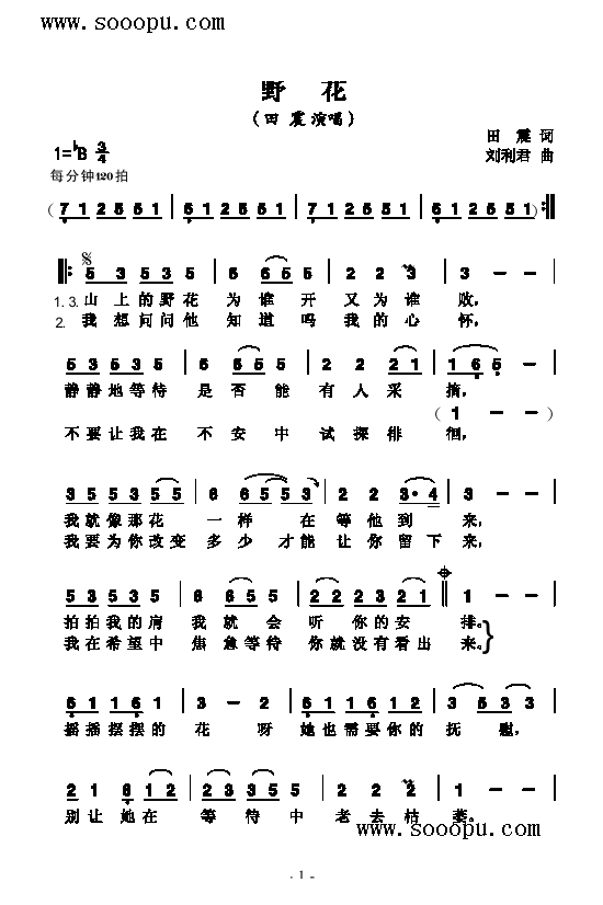 野花歌曲类简谱
