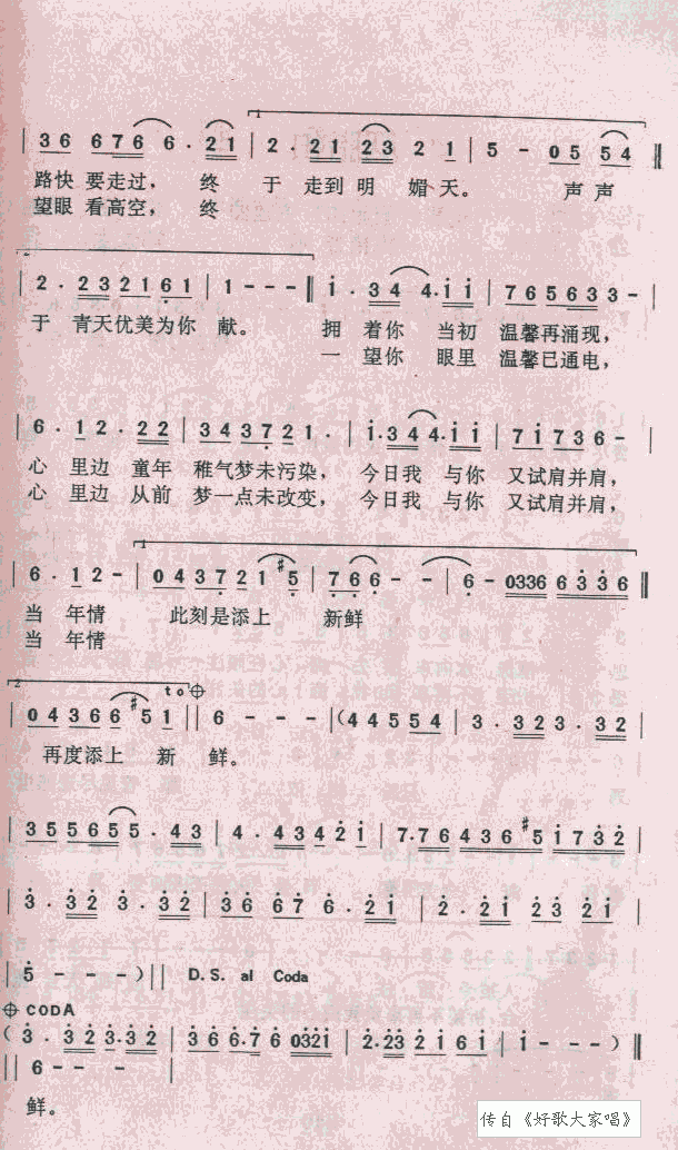当年情 歌谱简谱网