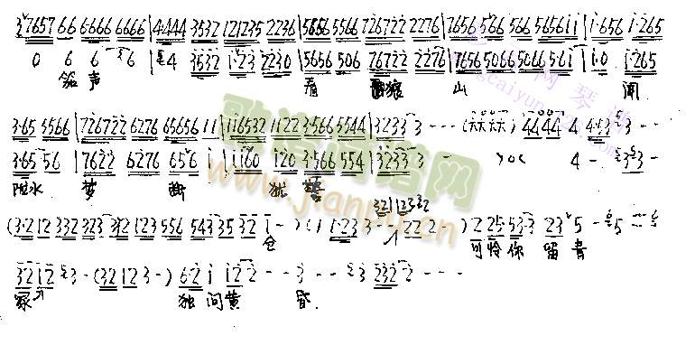 ļ麺()5