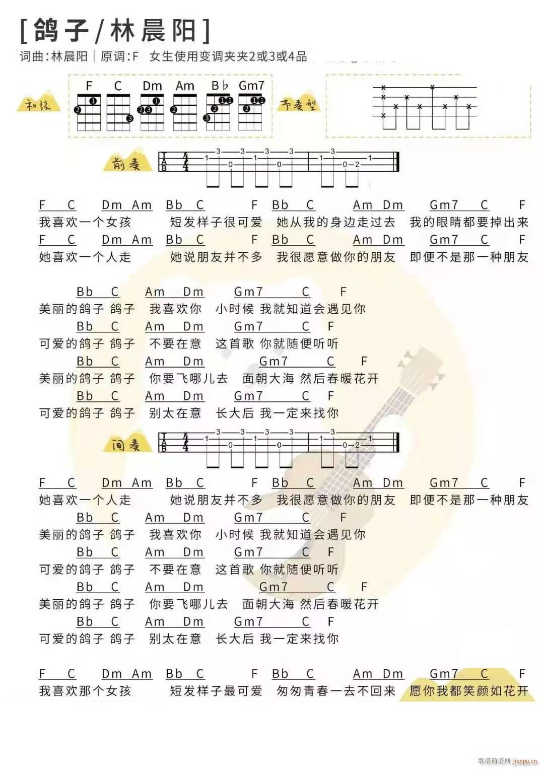 林晨阳《鸽子》吉他谱_C调 弹唱谱-简谱网