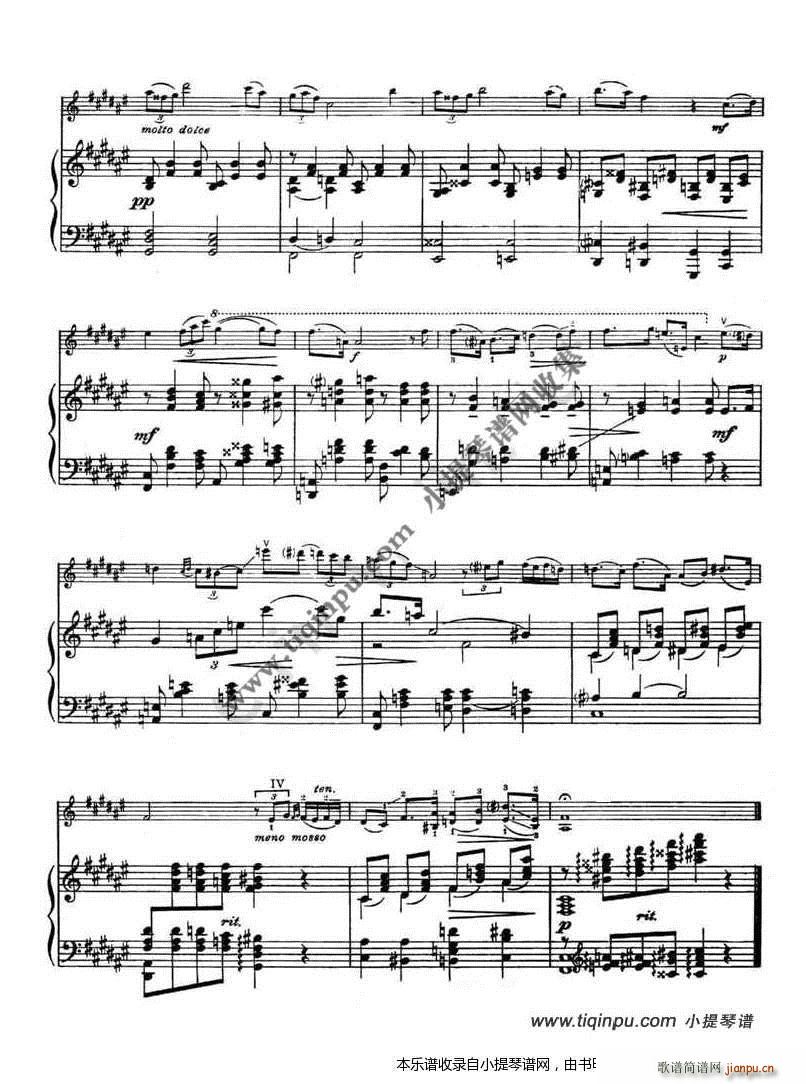 PONCE ƴHEIFETZ ESTRELLITA ҵС(ʮּ)3