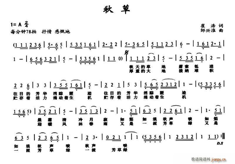 秋草 歌谱简谱网