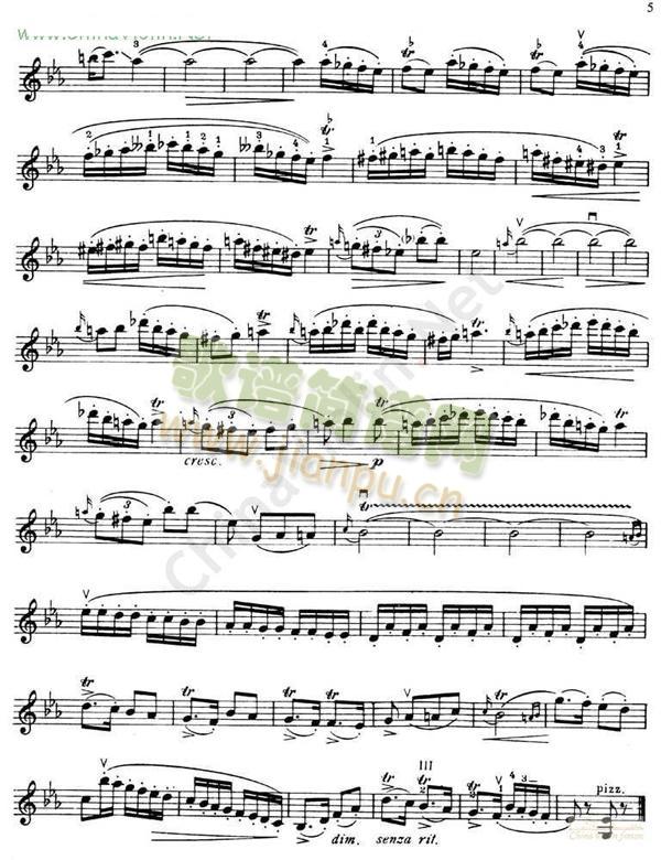 ƴ-DINICUHora(С)3