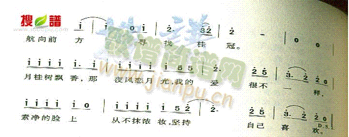 月桂女神 歌谱简谱网