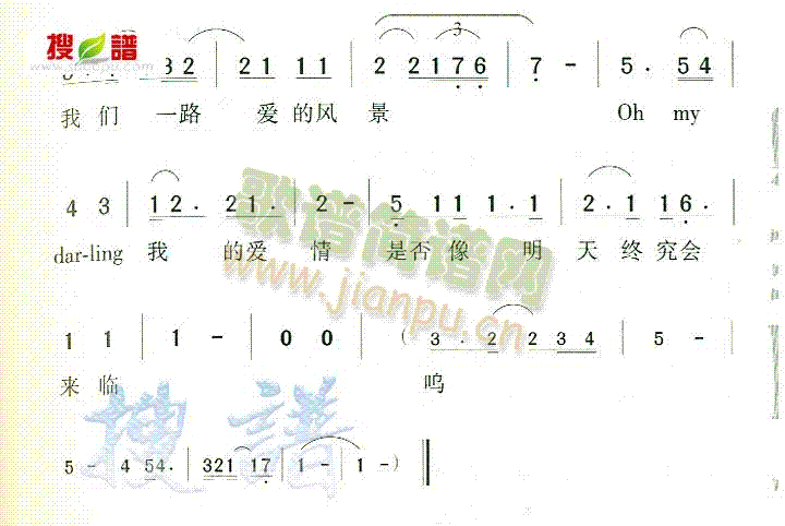 情歌 歌谱简谱网