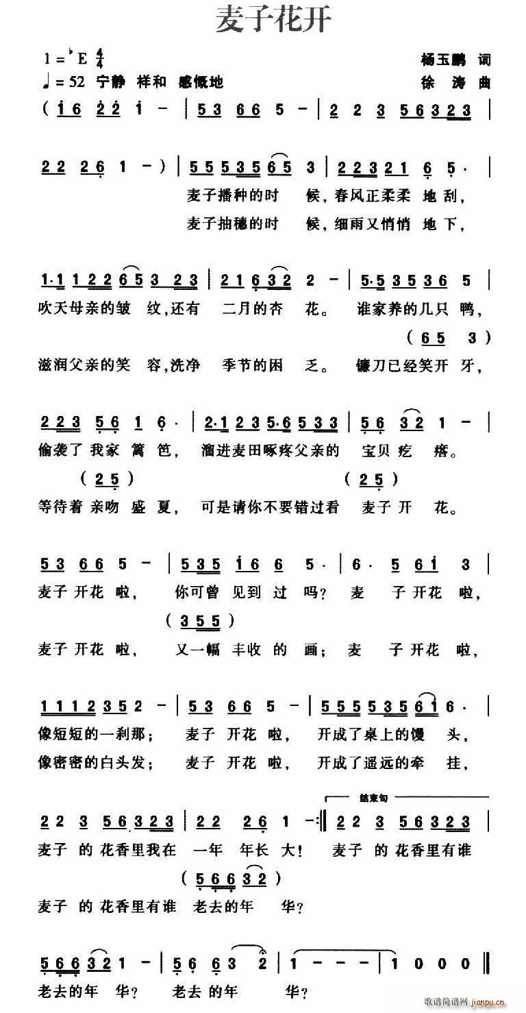 ӻ(ָ)1