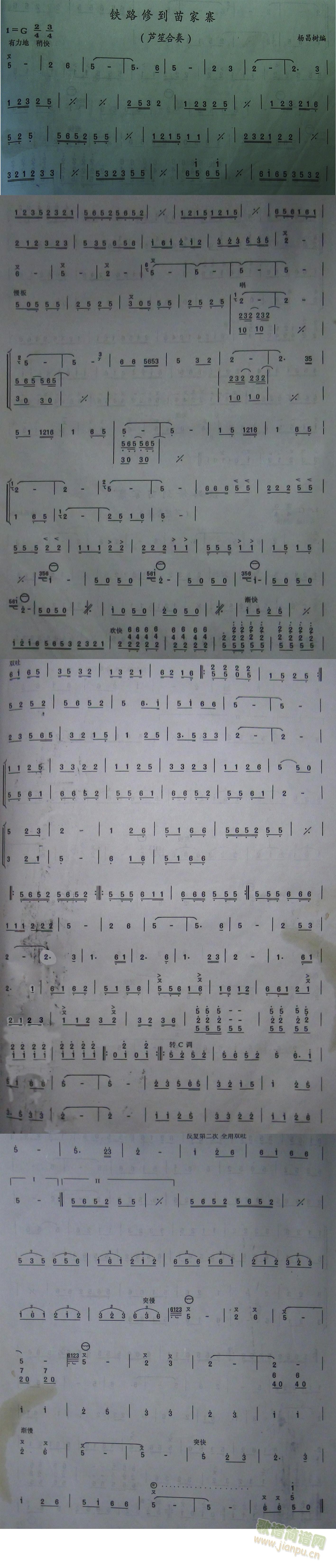·޵կ(ָ)1