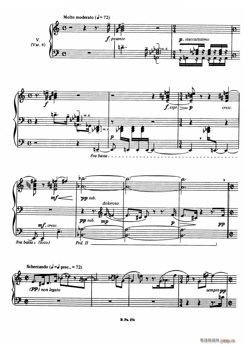 Bernstien Touches Touches(ʮּ)5