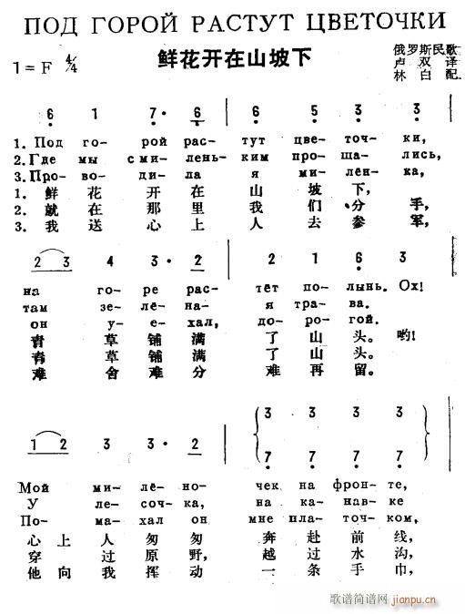 ʻɽ ˫ 1(ʮּ)1