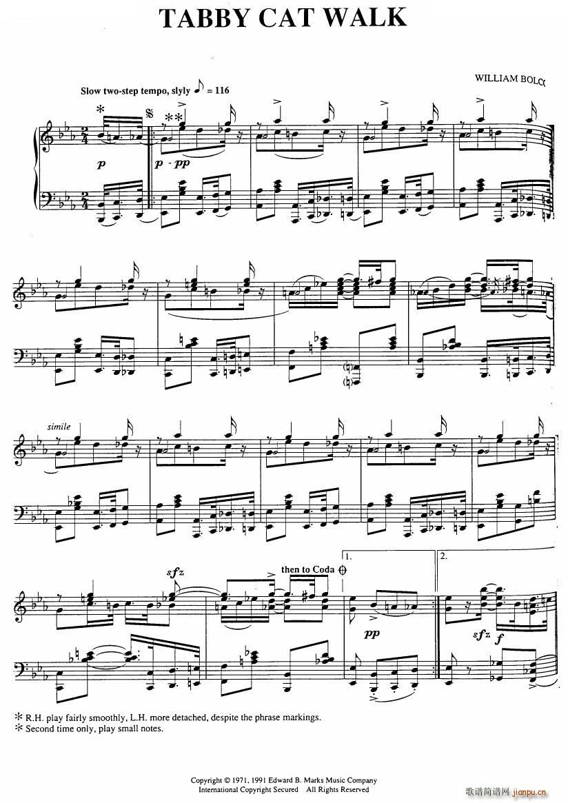 551 classical sheet music piano rags һ()20