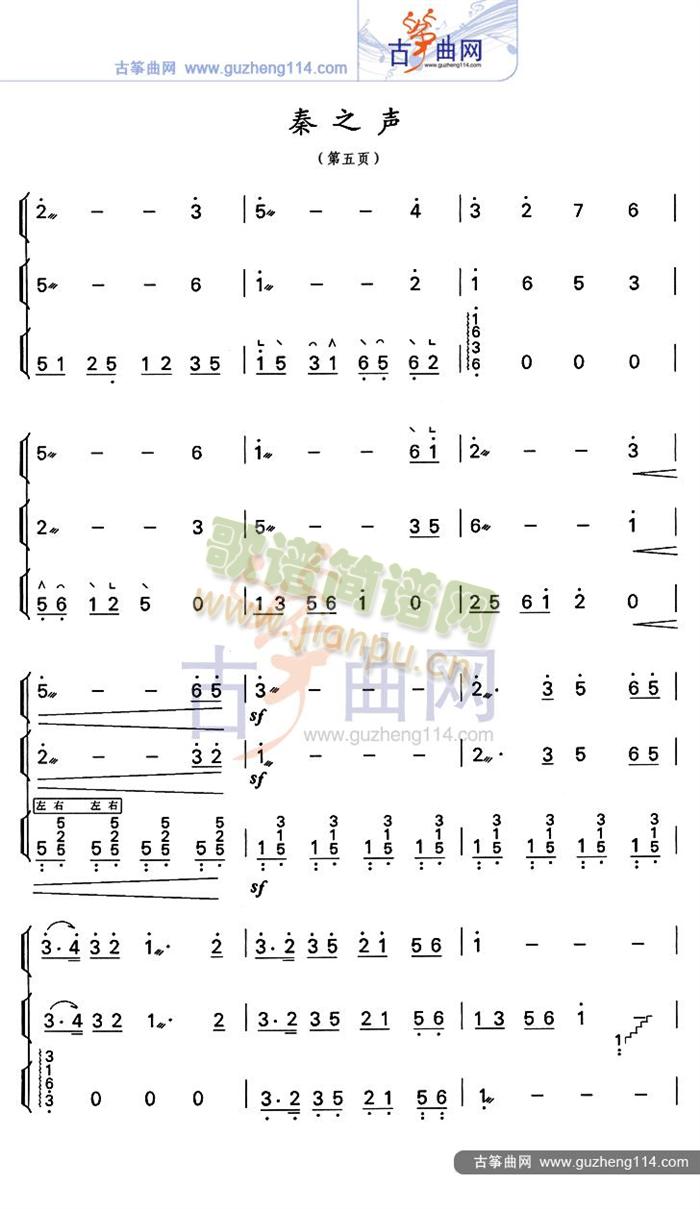 ֮()5