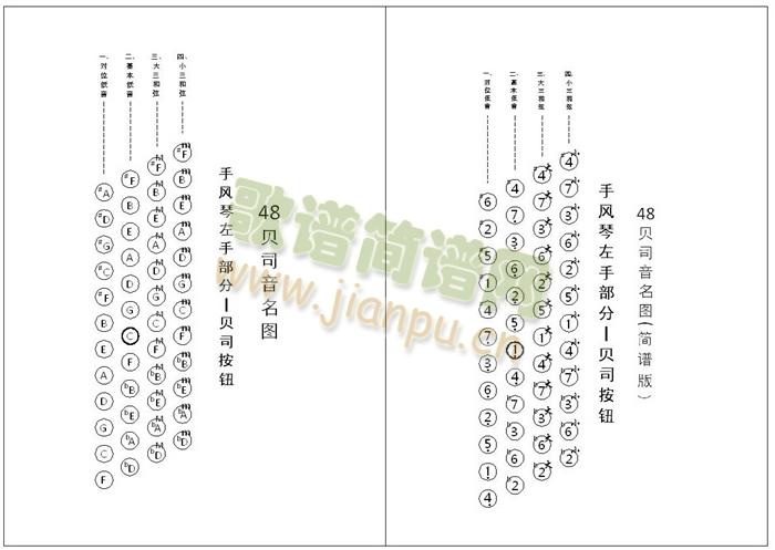 手风琴 贝司音名图(手风琴谱)1