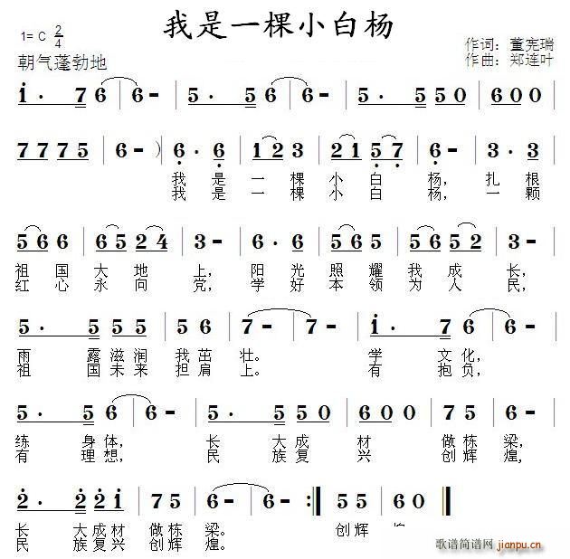 我是一棵小白杨歌谱简谱网; 我是一棵小白杨; 一棵小白杨简谱