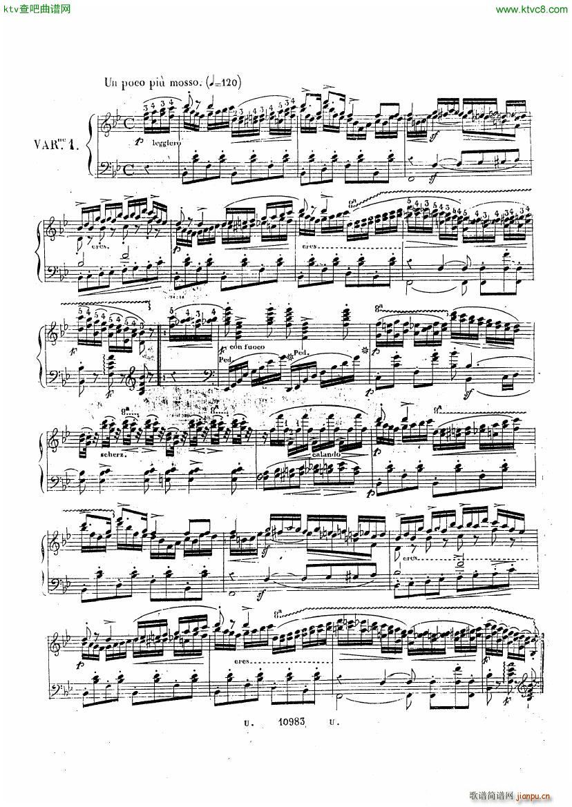 herz sonnambula()5
