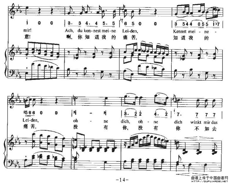 HaTreuloserP14(ʮּ)1
