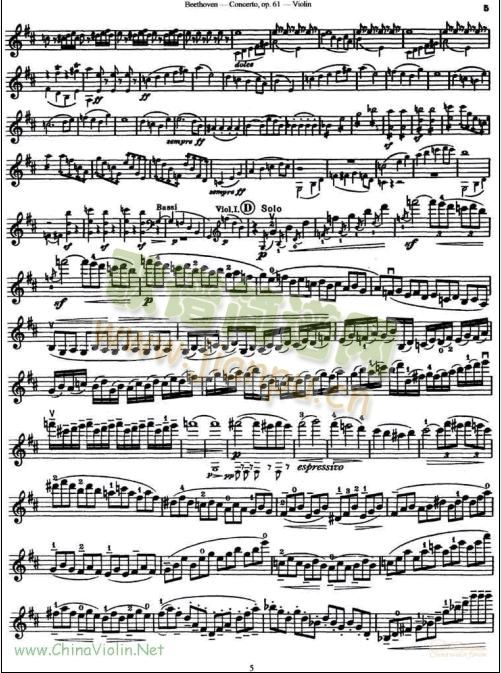 DСЭ(С)5