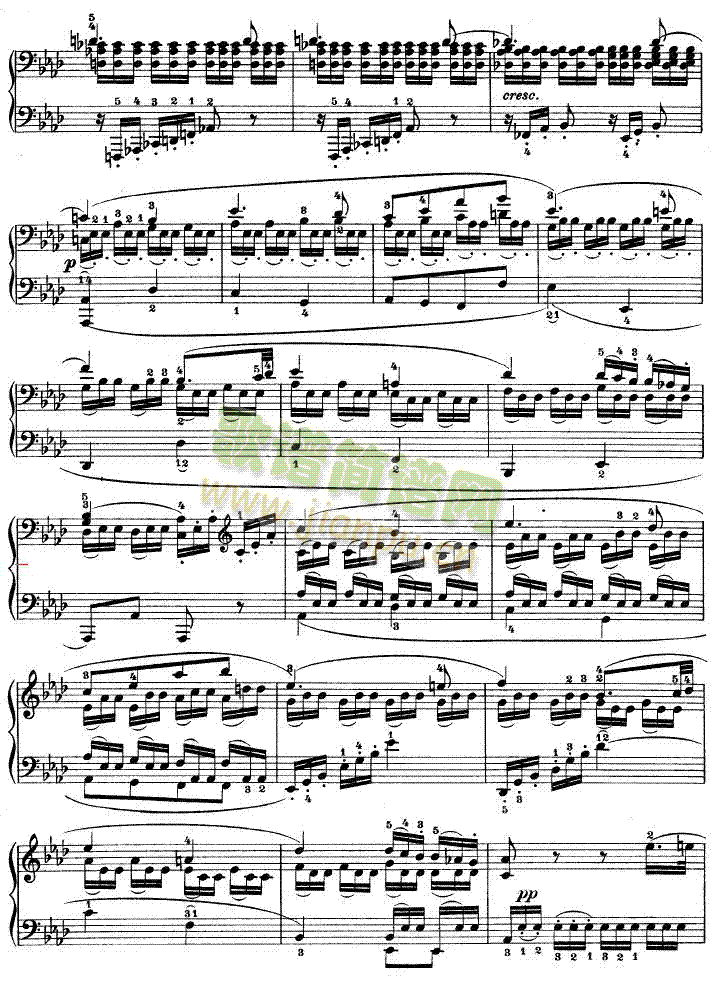 CСڰOp13()11