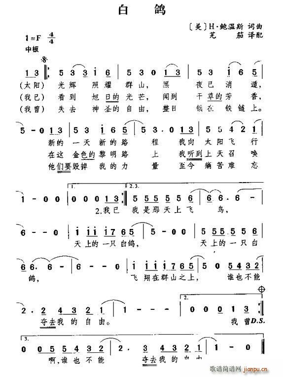 [美]白鸽 歌谱简谱网