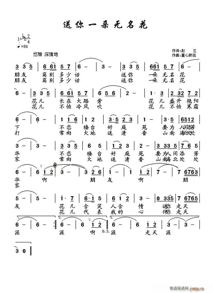送你一朵无名花 歌谱简谱网